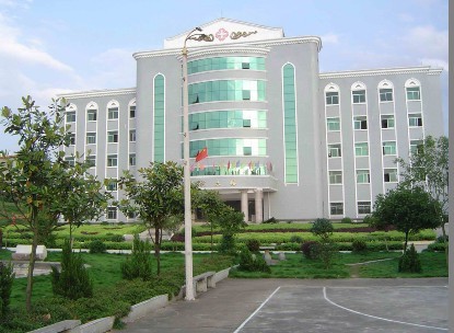 宜章县中医医院咨询电话,专家在线咨询网站_医护网