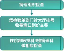 病理组织????流程.jpg