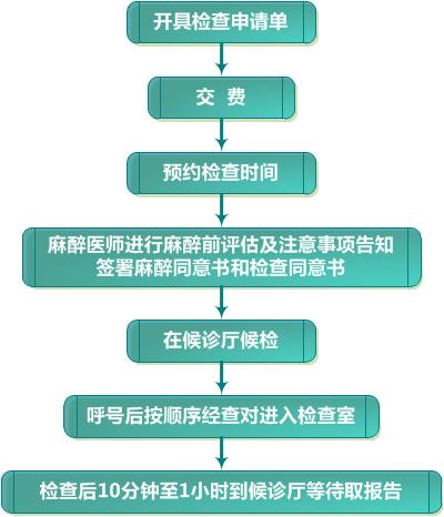 无痛胃肠镜检查流??jpg