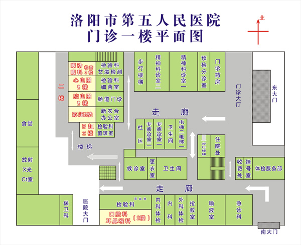 平面图 设计图 效果图 519_367_医院平面图设计图纸