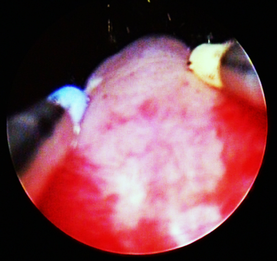 武汉科技大学附属天佑医院