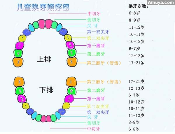 关注儿童换牙