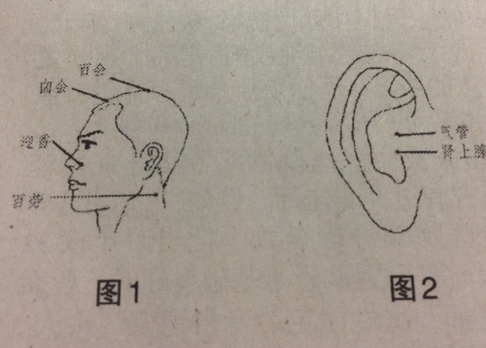 咳嗽的按摩保健法