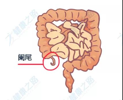 微信图片_20180315111328.jpg