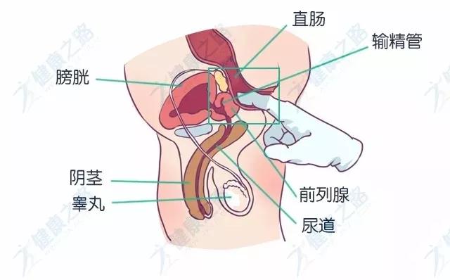 微信图片_20180328103416.jpg