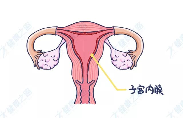 所以,月经的主要成分是 子宫内膜和血(还包含少部分的宫颈粘液,脱落的