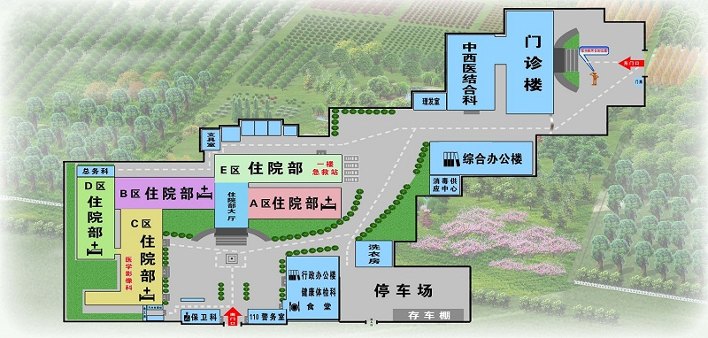 安阳市第二人民医院平面图