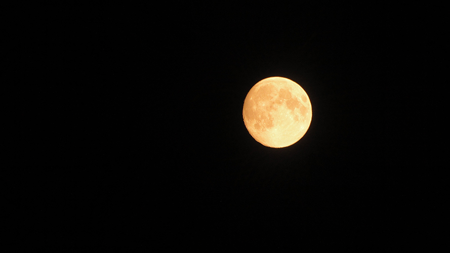 摄图网-中秋的月亮.jpg
