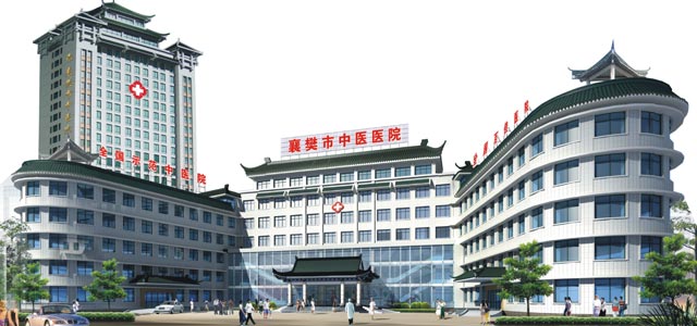 襄阳市中医医院