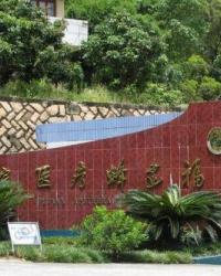 福建蜂疗医院