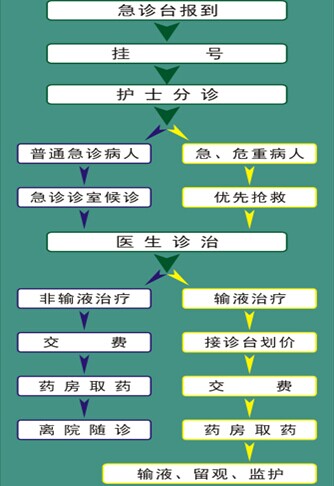 心電圖室:門診3樓;婦科b超室:門診4樓 內鏡室:新住院樓3樓;腦電圖