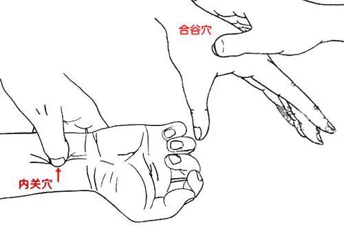 看完这篇你应该不会再晕车了