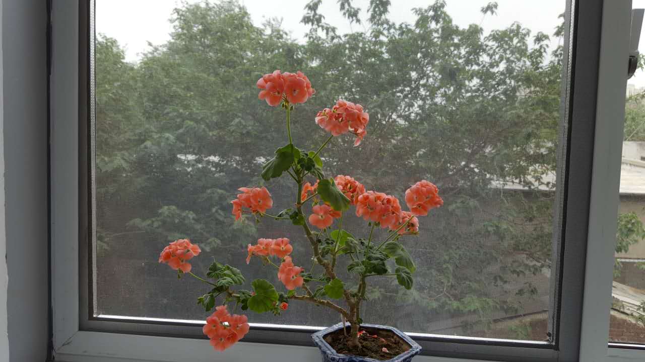 欢乐六一 童趣无限_健康之路