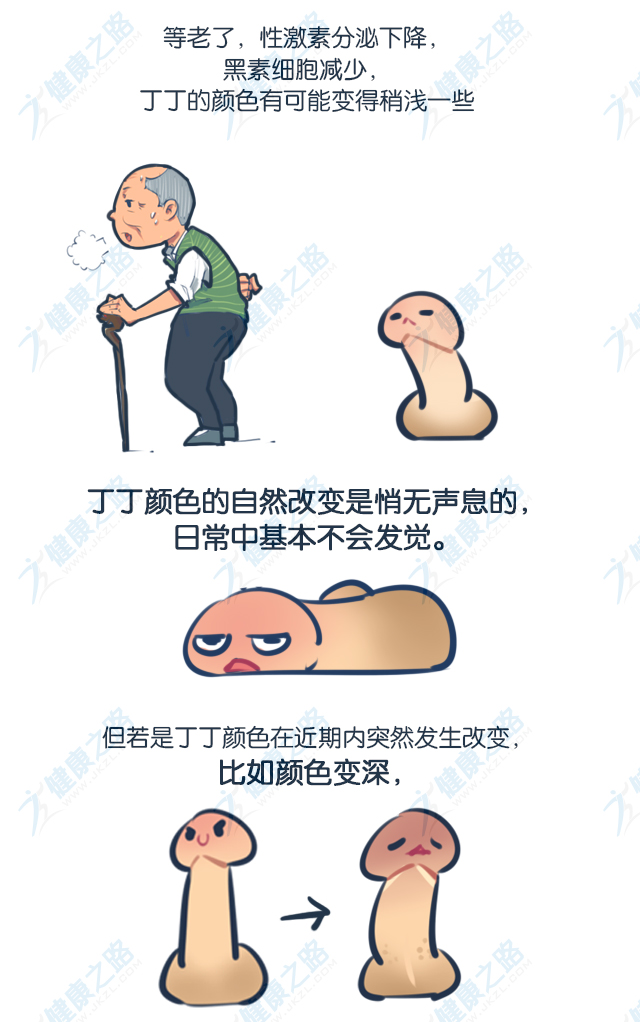 丁丁是什么正常图片