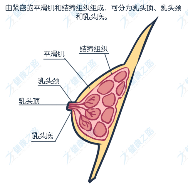 咪咪排版_04.jpg