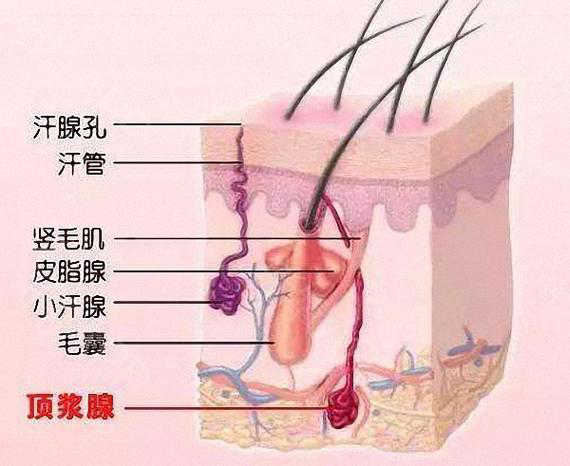 图片5.png