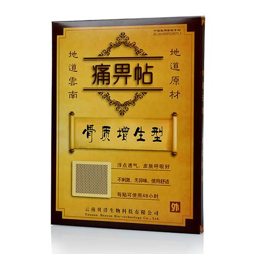 痛畀帖 骨质增生型 10cm*13cm*2帖