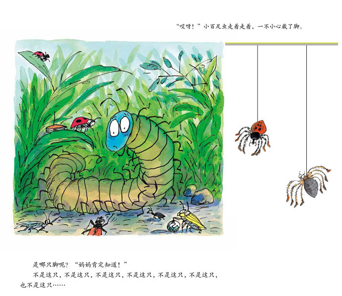 百足虫的100只鞋