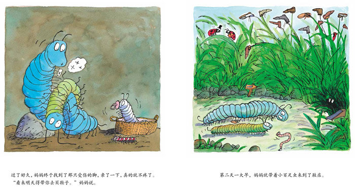 百足虫的100只鞋