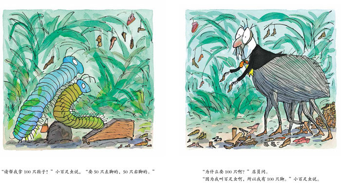 百足虫的100只鞋