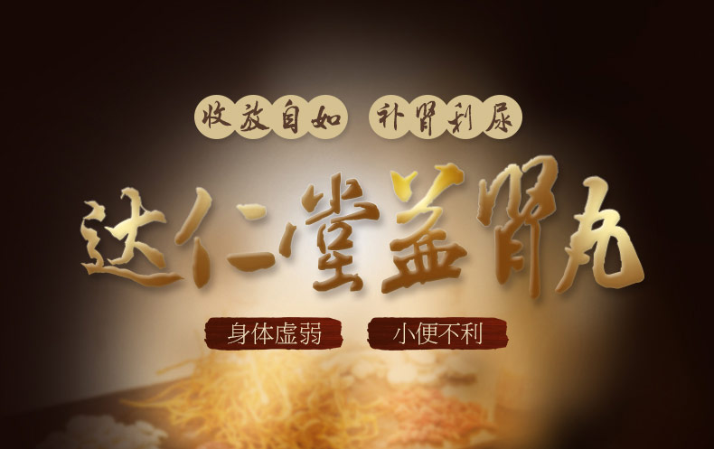 达仁堂 益肾丸 9g*10丸